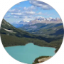 Google profile photo
